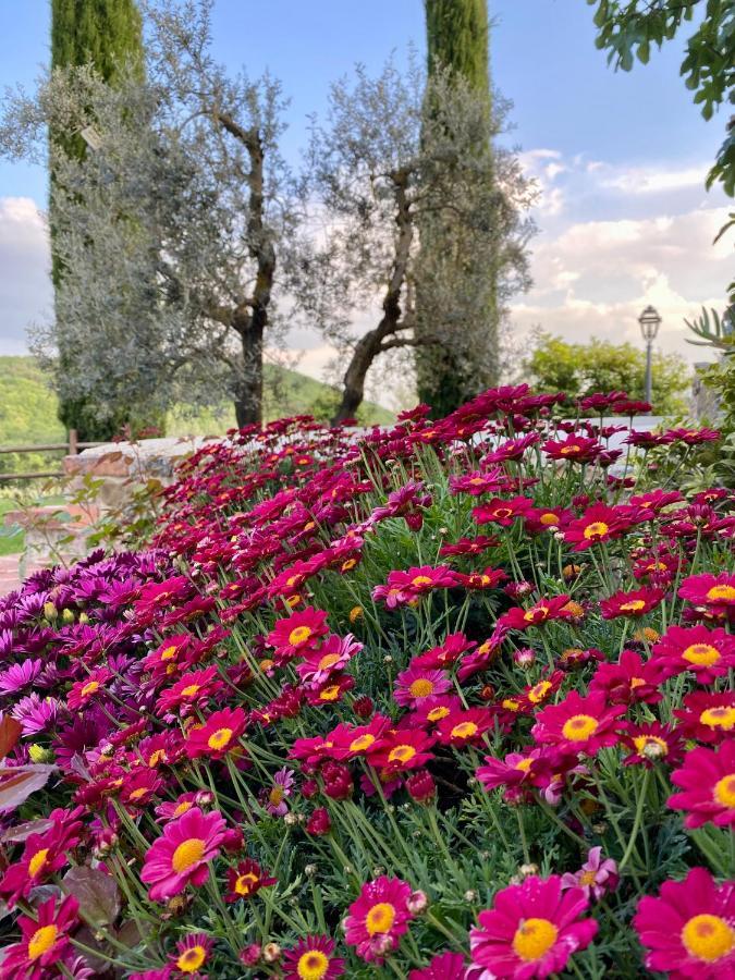 Agriturismo Belagaggio Montefollonico Εξωτερικό φωτογραφία