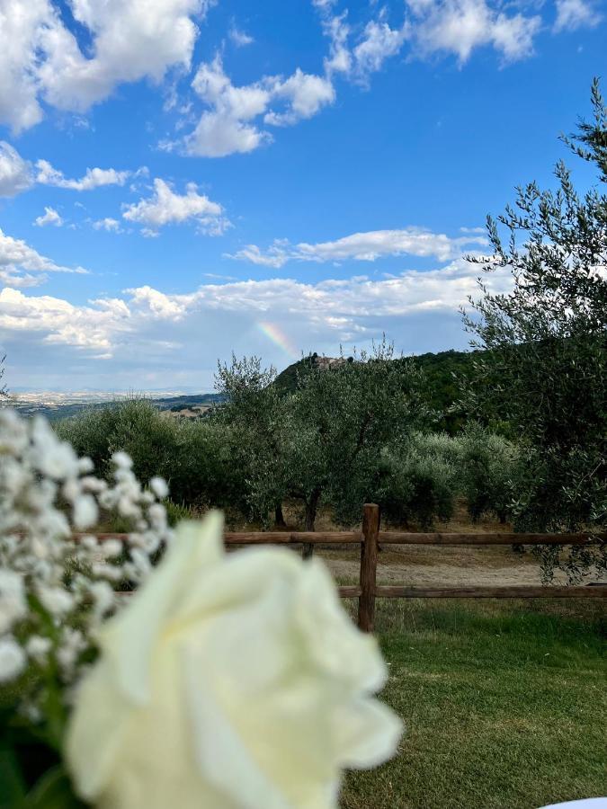 Agriturismo Belagaggio Montefollonico Εξωτερικό φωτογραφία