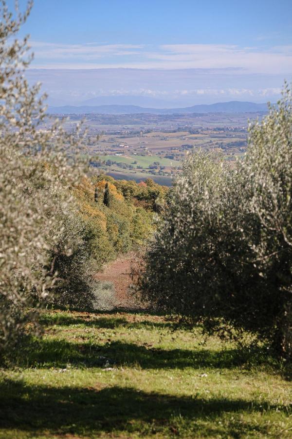 Agriturismo Belagaggio Montefollonico Εξωτερικό φωτογραφία